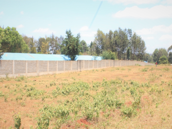 Serene Garden by Brickmann Properties - Nyeri