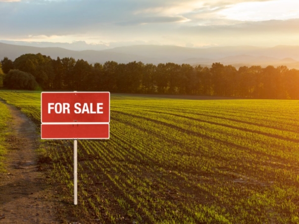 Unlock your financial future with Brickmann Properties' 2024 land investment opportunities. Start reaping the rewards today!